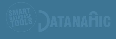 logo datanamic for footer